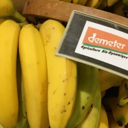 BANANES TAINO BIO DEMETER