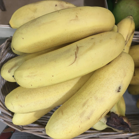 MINI BANANE BIO