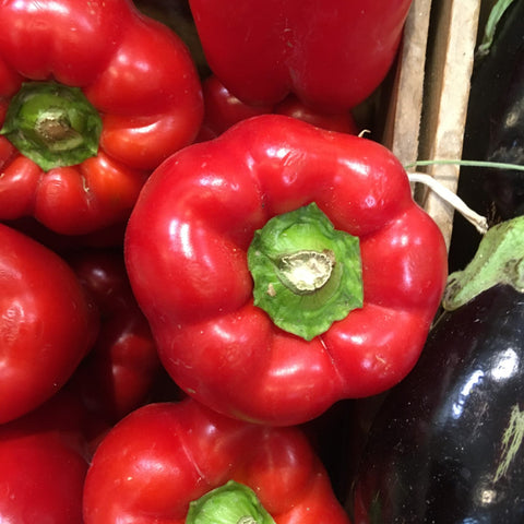 POIVRON ROUGE BIO