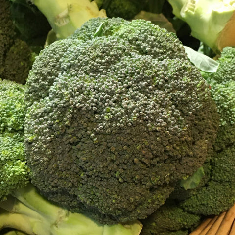 BROCOLI BIO