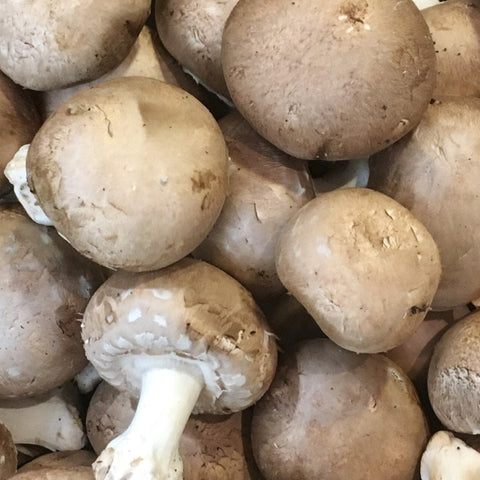 CHAMPIGNON DE PARIS BLOND BIO