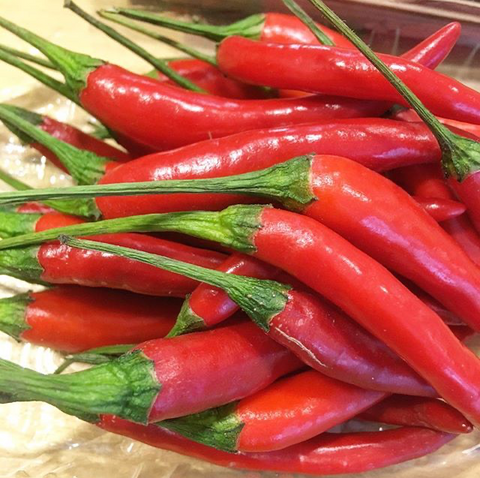 PIMENT BIO FRAIS