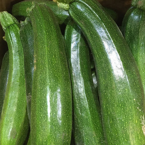 COURGETTE BIO