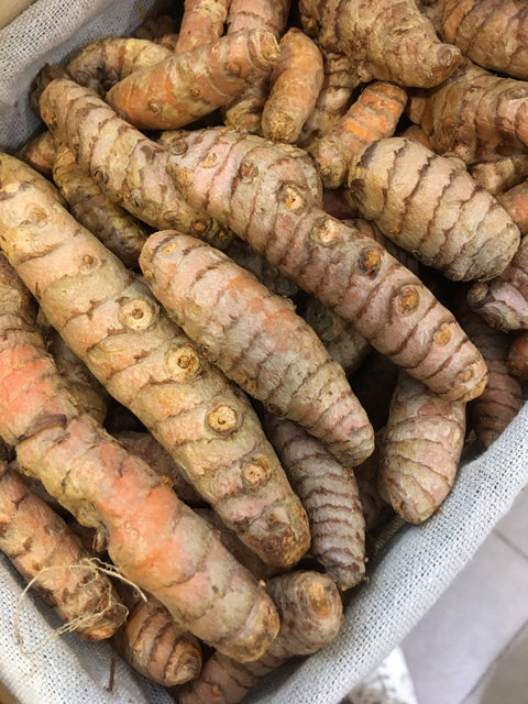 CURCUMA FRAIS BIO