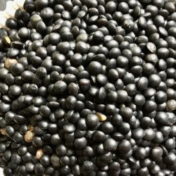 LENTILLES BELUGA BIO