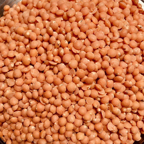 LENTILLES CORAIL BIO