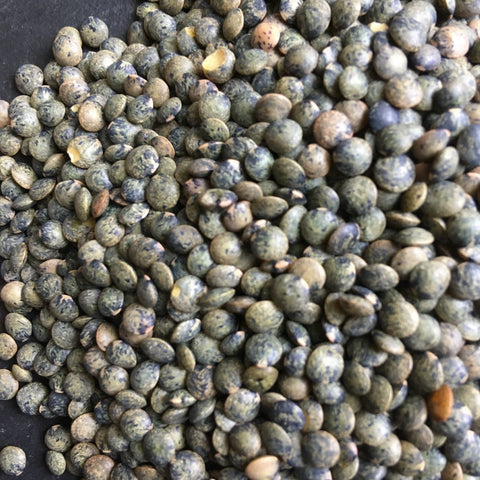 LENTILLES VERTES BIO DE PAYS