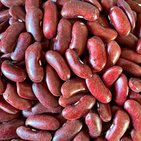 HARICOTS ROUGES BIO