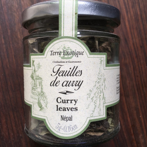 FEUILLES DE CURRY