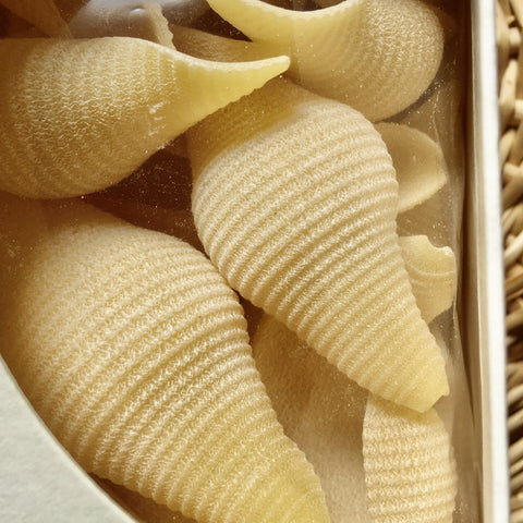 PATES ITALIENNES A FARCIR CONCHIGLIONI