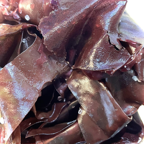 DULSE FRAICHE BIO