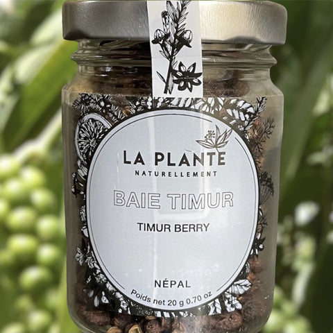 BAIE TIMUR BIO