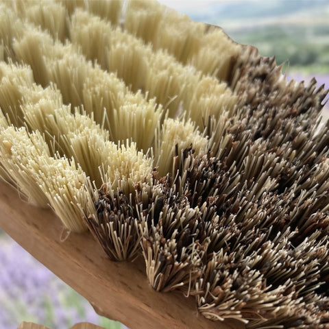 BROSSE A LEGUMES