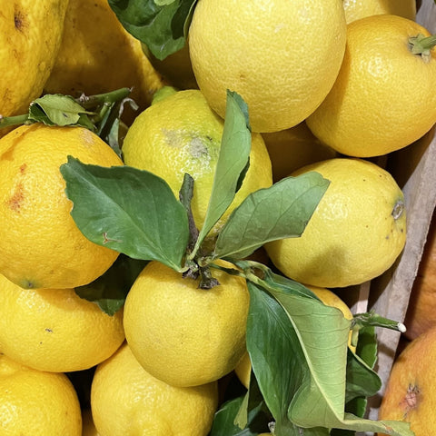 CITRON JAUNE BIO FRANCAIS