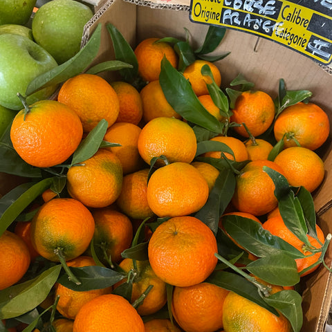 CLEMENTINES CORSES BIO