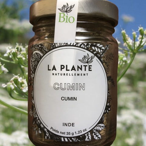 CUMIN BIO EN GRAINES