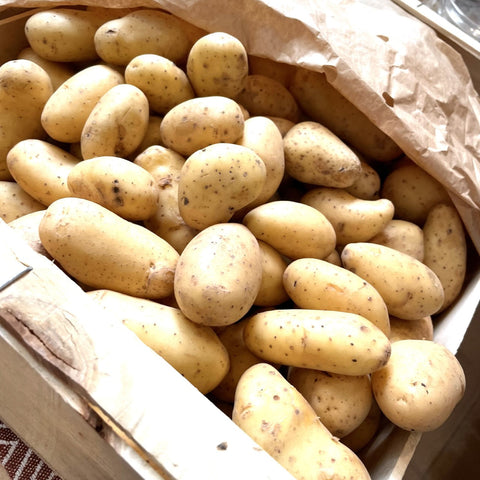 POMME DE TERRE GRENAILLE BIO