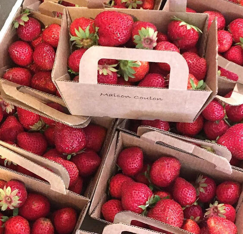 FRAISES BIO