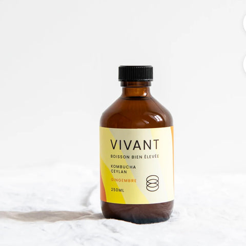 KOMBUCHA VIVANT BIO