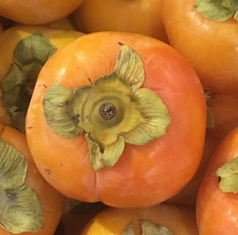 KAKI DE PROVENCE BIO