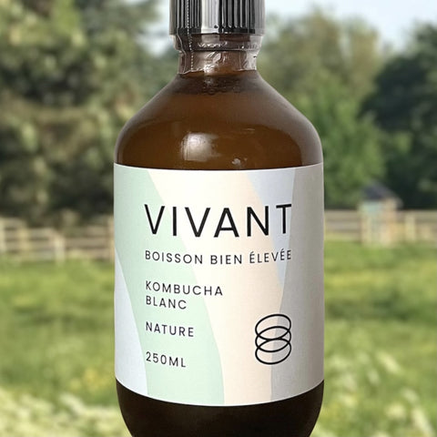 KOMBUCHA VIVANT BIO THE BLANC NATURE