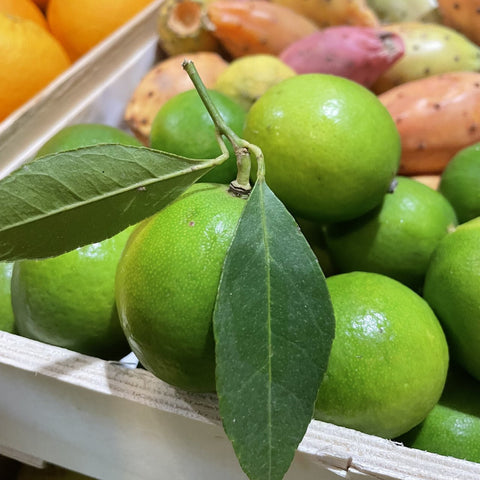CITRON VERT LIME BIO
