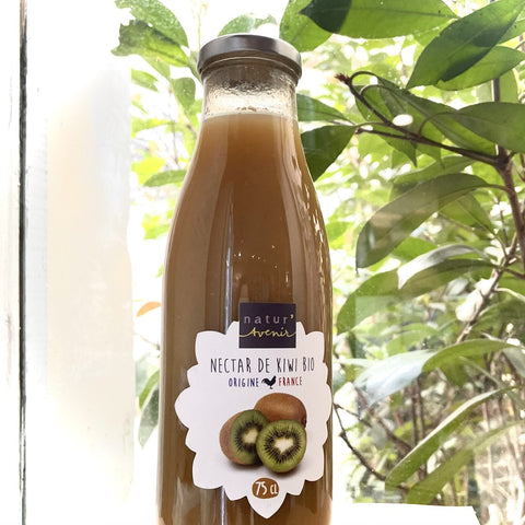 NECTAR DE KIWI BIO