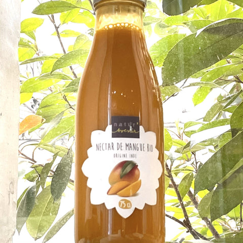 NECTAR DE MANGUE BIO