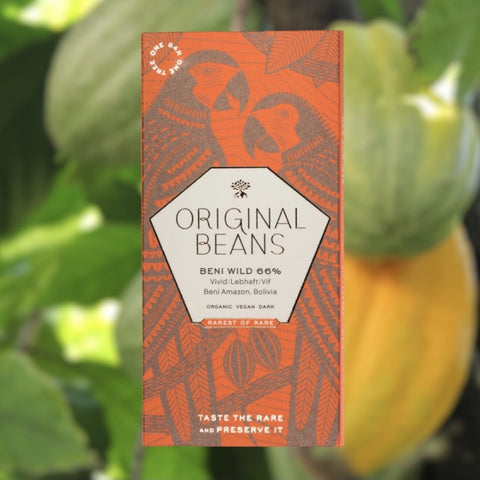 CHOCOLAT BIO NOIR A 66 %