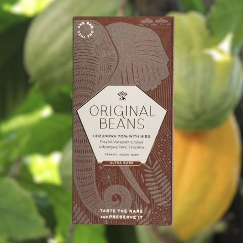 CHOCOLAT NOIR CROQUANT AUX ECLATS DE FEVES BIO 70%