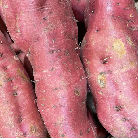 PATATE DOUCE BIO
