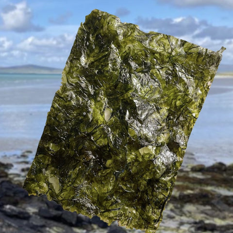 SNACKS DE NORI BIO