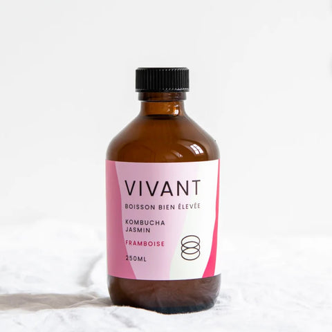 KOMBUCHA VIVANT BIO