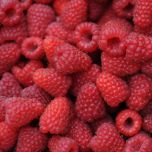 FRAMBOISES BIO