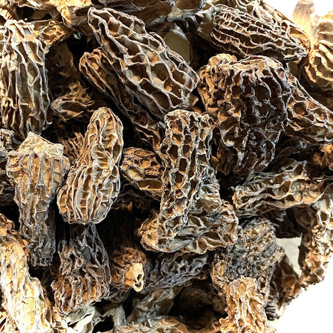 MORILLES ENTIÈRES EXTRA