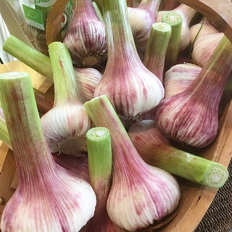 AIL FRAIS NOUVEAU BIO