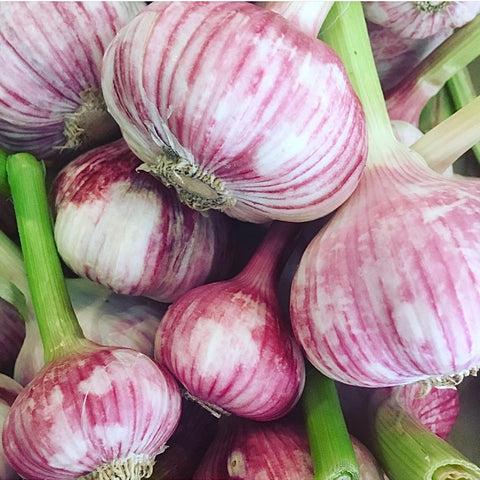 AIL FRAIS NOUVEAU BIO