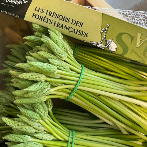 ASPERGES SAUVAGES BIO EN BOTTE