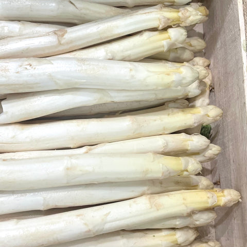 ASPERGE BLANCHE BIO DES LANDES