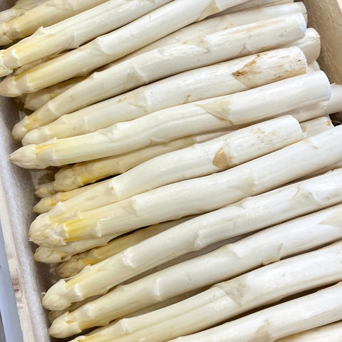 ASPERGE BLANCHE BIO DES LANDES