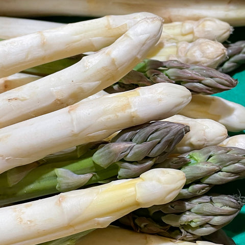 ASPERGE BLANCHE BIO DES LANDES