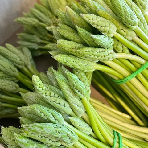 ASPERGES SAUVAGES BIO EN BOTTE