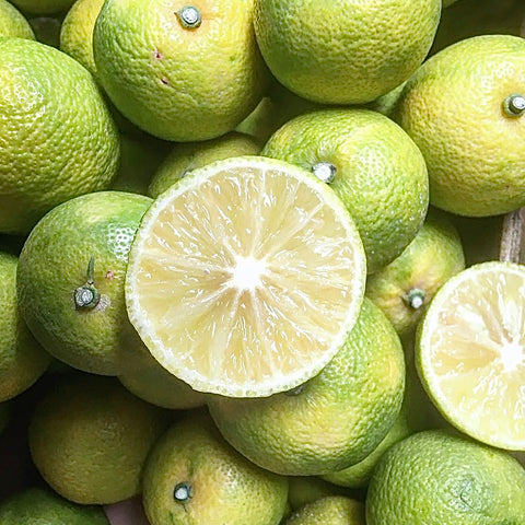 BERGAMOTE FRAICHE BIO