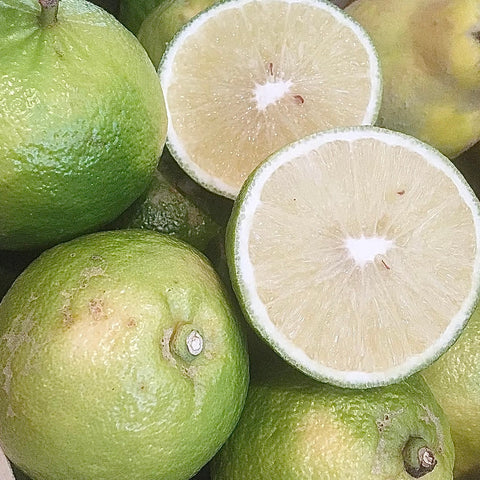 BERGAMOTE FRAICHE BIO