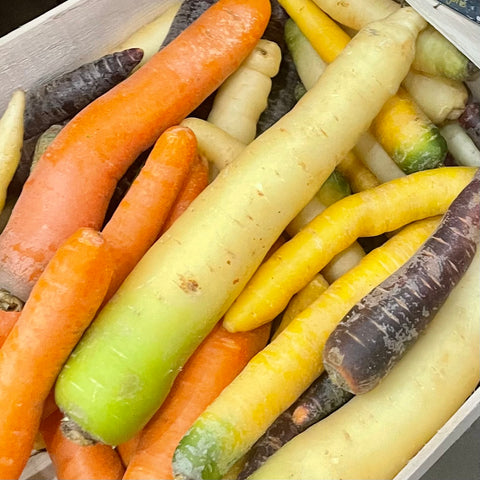 CAROTTES MULTICOLORES BIO 1kg