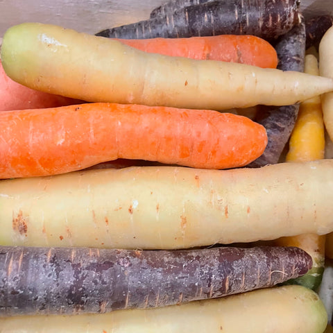 CAROTTES MULTICOLORES BIO 1kg