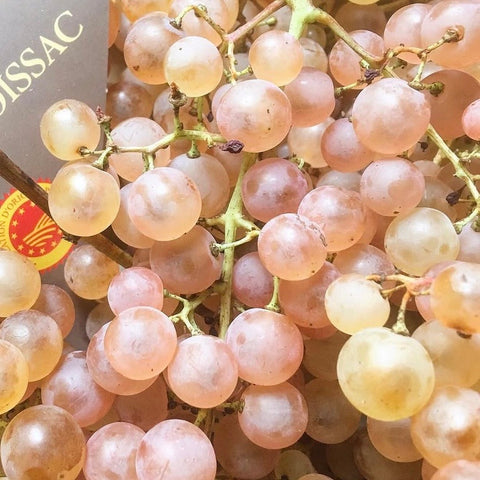 RAISIN CHASSELAS BIO