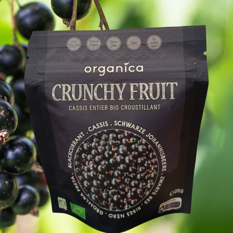 FRUITS LYOPHILISES BIO