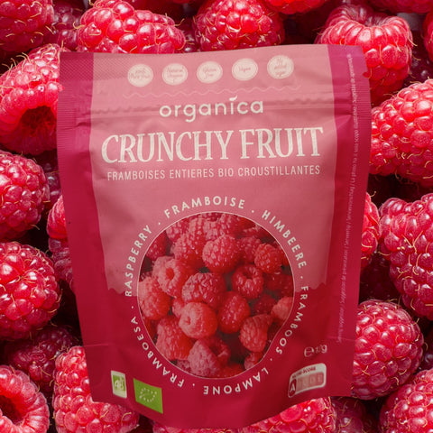 FRUITS LYOPHILISES BIO