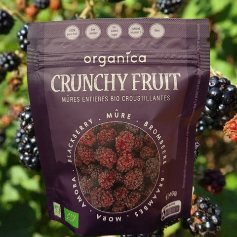 FRUITS LYOPHILISES BIO